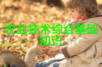 品味巅峰全球名贵水果名称大全探索