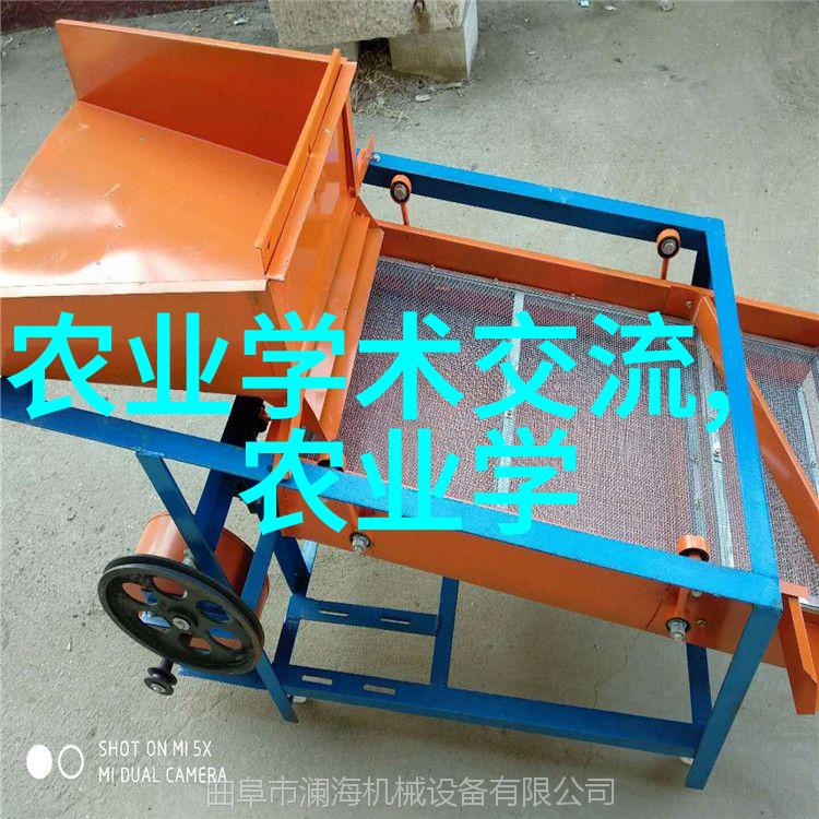 一亩黄精的秘诀解析适宜数量的种子选择与播布