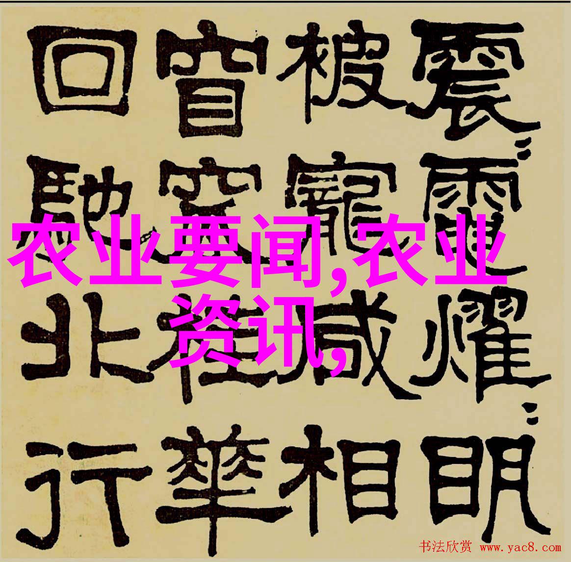 春耕启幕四川供销社系统紧锣密鼓备战农业新篇章