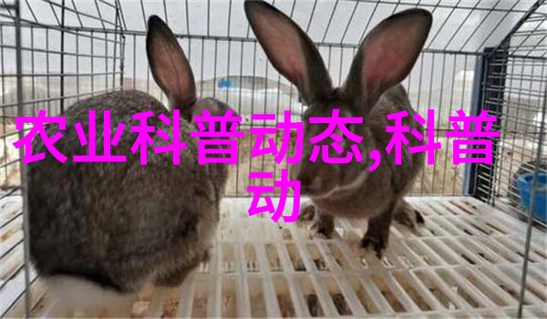 跌价最惨的中药材传统医学的挑战与转型