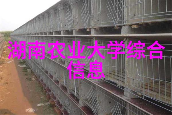 云南花海追寻鲜花香的源头