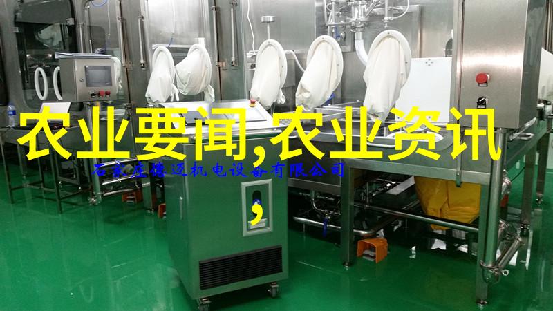 家庭园艺新手的首选易种植水果选择指南