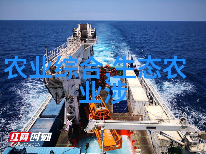 农村种植什么最好咱们这块地适合种啥