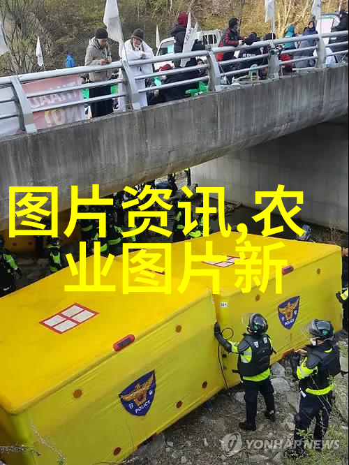 多样化管理策略能否提升特定地区的释迦果生产效率