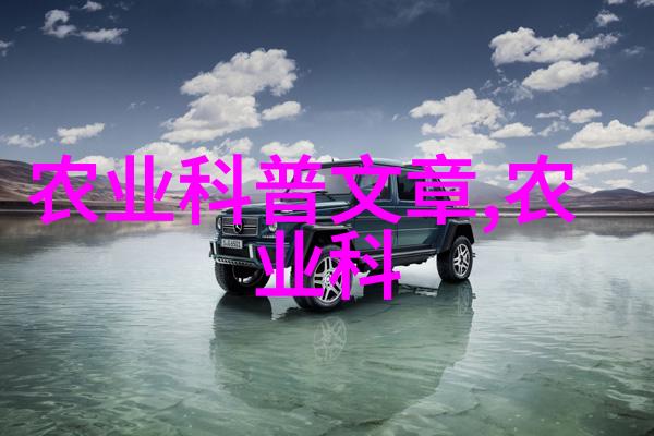 茶艺之美中国茶道艺术概述