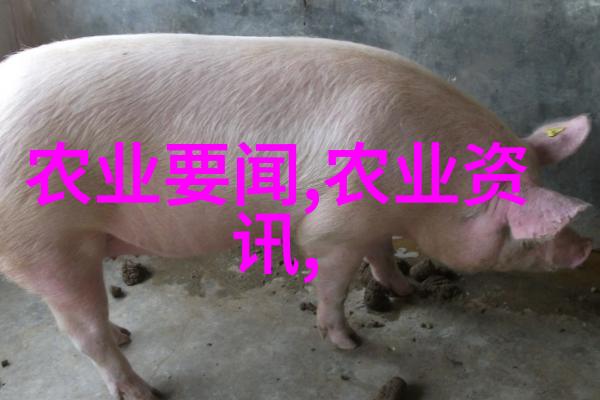 中药材种植新思路结合现代技术推动传统医药的可持续发展