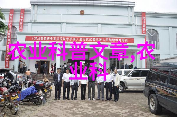 绿意盎然的秘籍文竹的精心培育