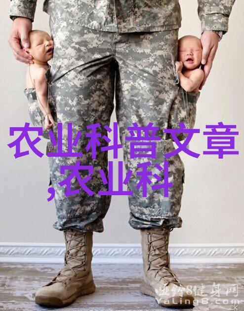 懒人果园适合您种植的无需操心果树品种