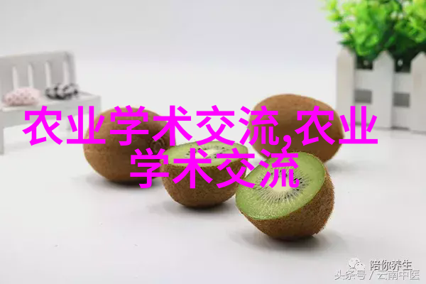 Honeydew Melon