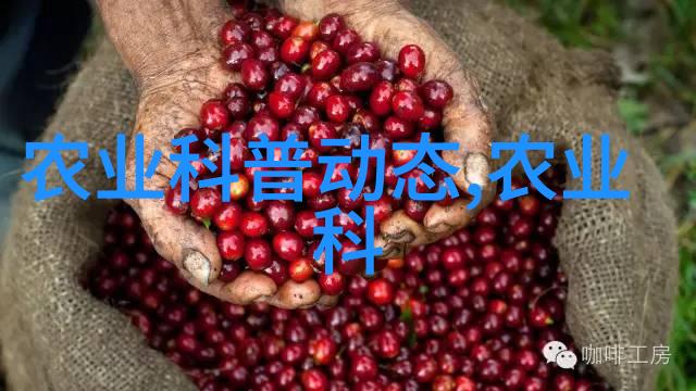 数字媒体艺术很难学吗寒冷天气下罗非鱼养殖管理需谨慎