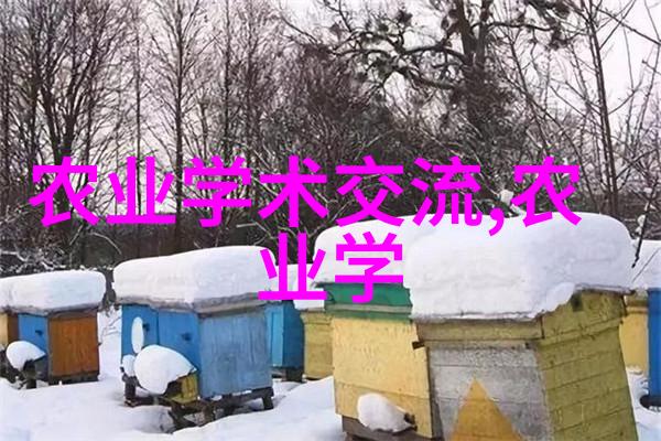 关于10年银杏树的市场价格考量