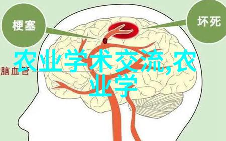 农业机械化进程中的关键技术点