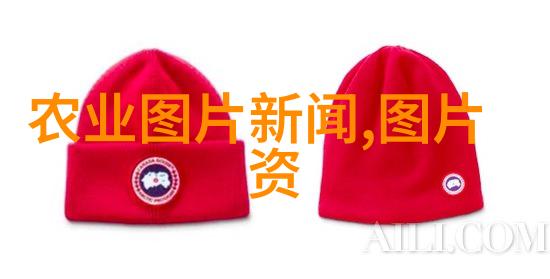 探秘姬菇世界菌界的珍稀宝藏与营养之星