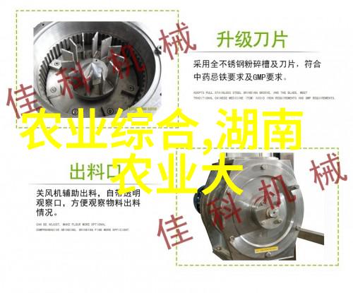 懒人菠萝园一年四季丰收秘诀