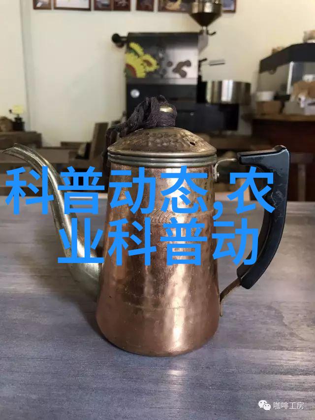 10种最旺家的绿植家庭装饰的自然之选