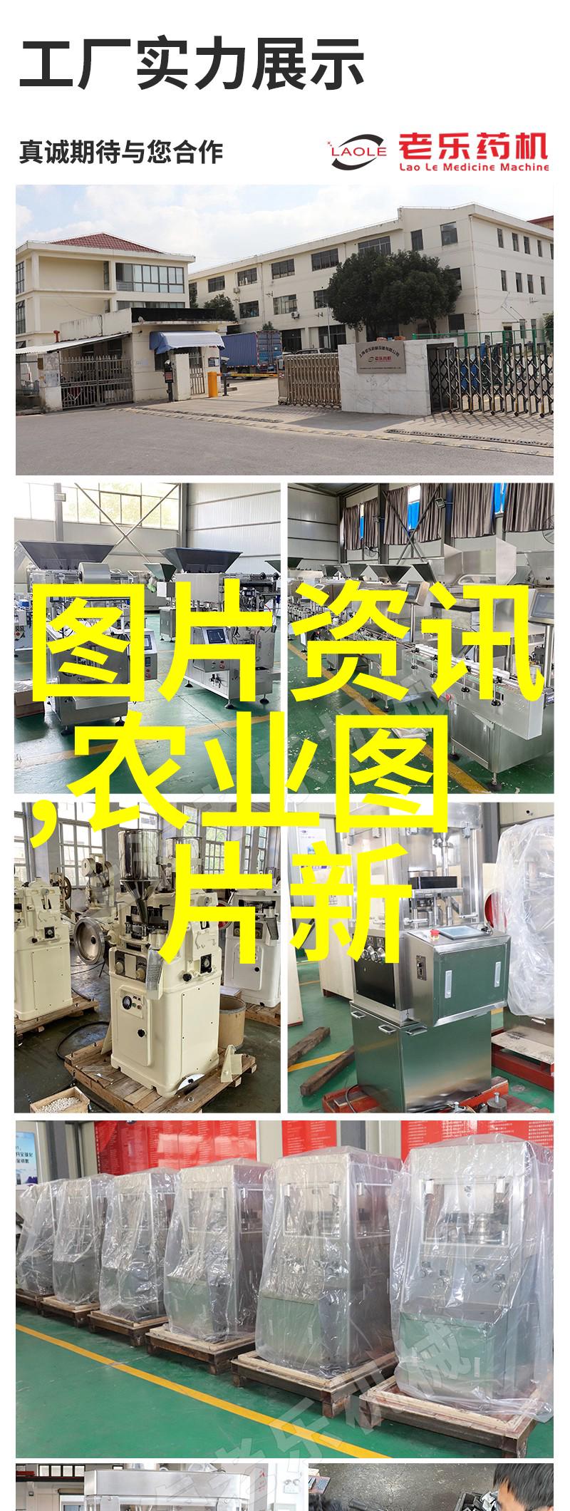种在未来现代农业蔬菜之谜