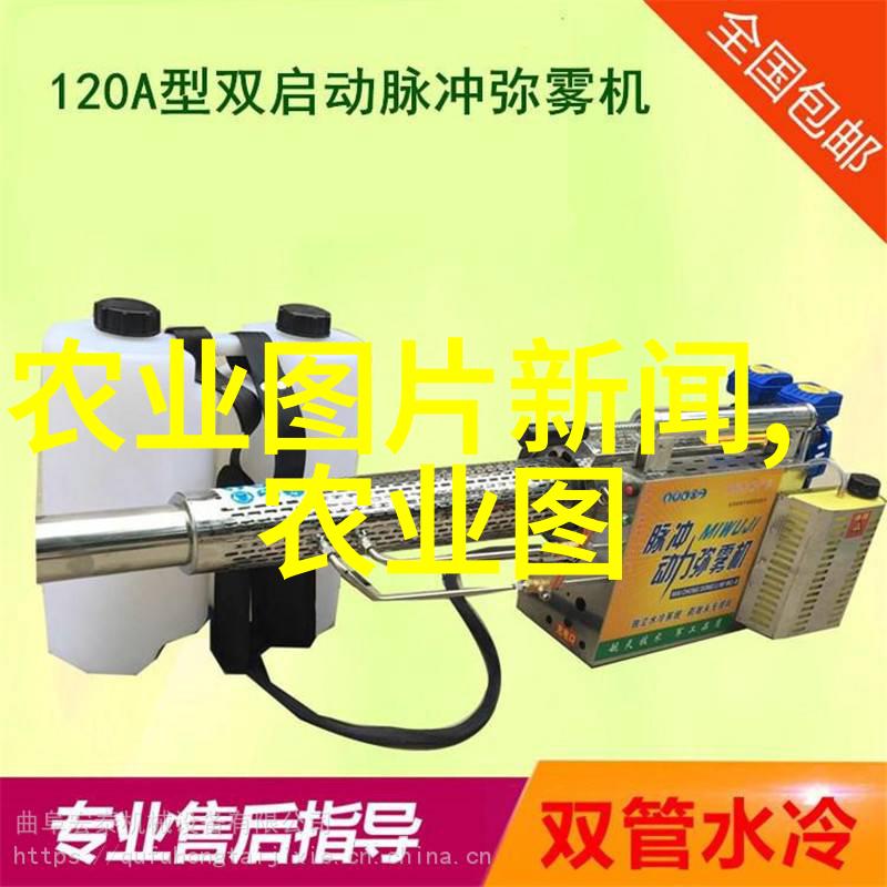 探秘滑子菇菌界中的奇迹与应用