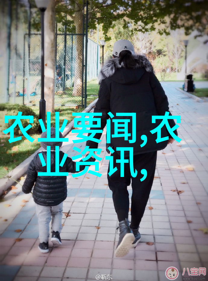 田野上的秘密花园探索露天快菜种植的艺术