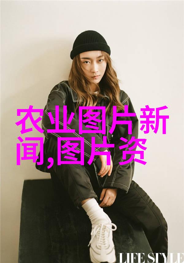 冬日蔬香绿意盎然的种植秘笈