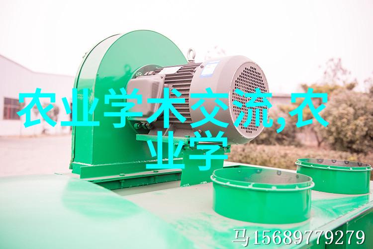 一亩大棚的投资成本探究