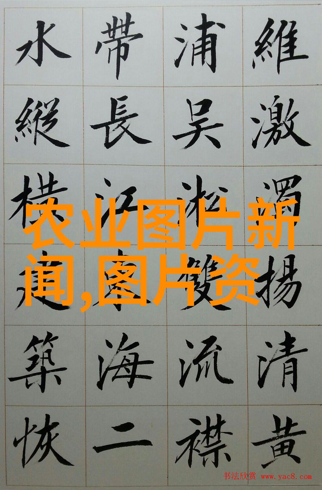 庭院种什么花最旺宅学会这7点立秋养花养什么都爆盆吗