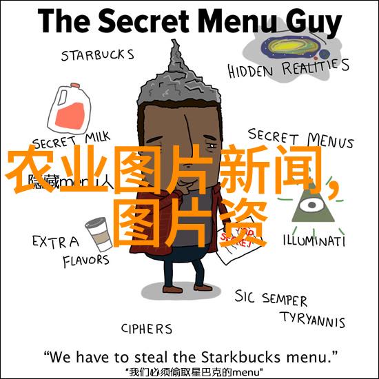 十大最养胃茶解锁自然疗法的秘密之选