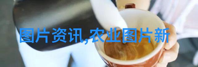 药材养殖项目哪种最好选择适合的药用植物提高收益率