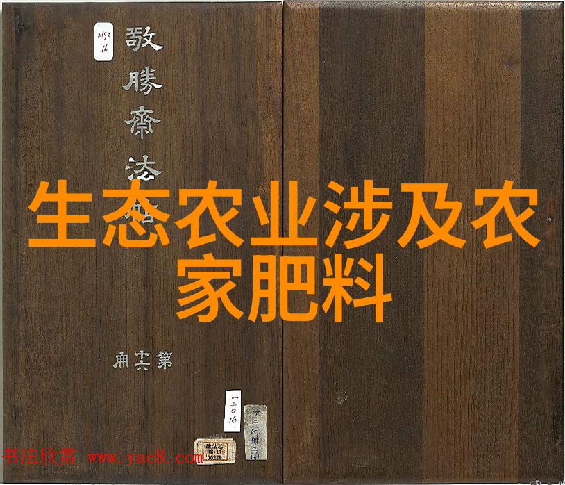 南国智源工科新星的闪耀篇章