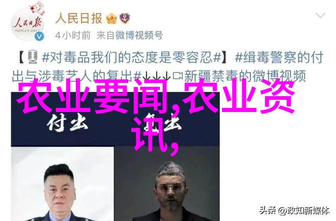 花卉种植技巧全解析从土壤选择到养护细节的精髓