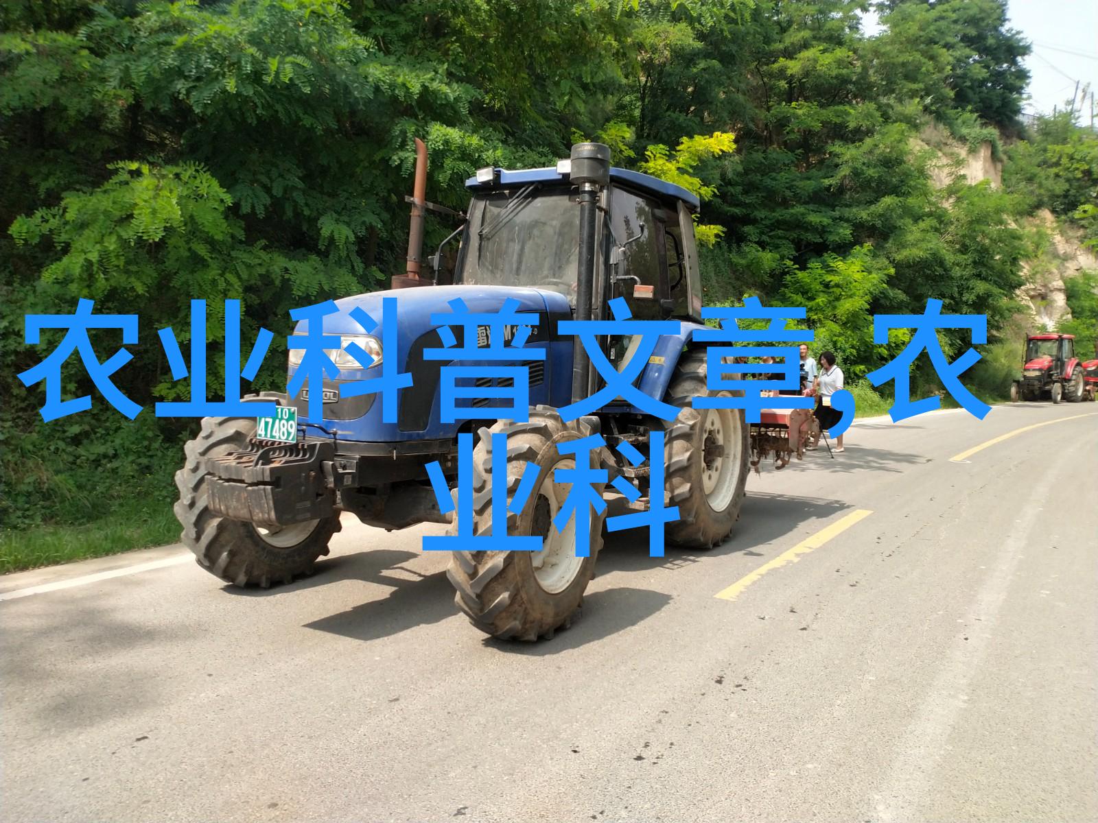 绿意盎然百花齐放的盆栽奇迹