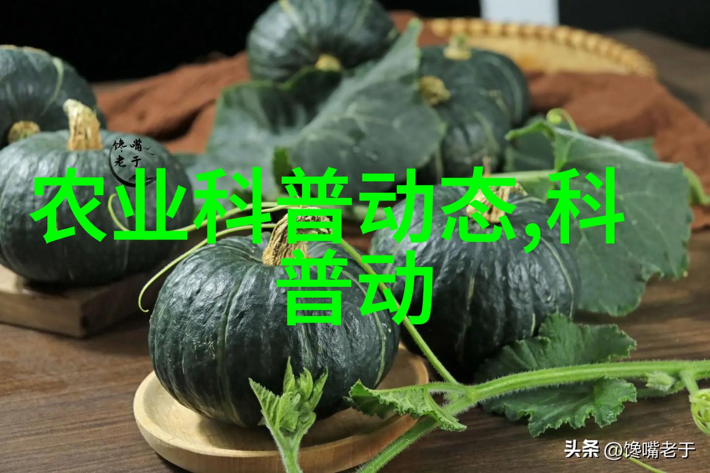 庭院花卉选植秘籍旺宅之道