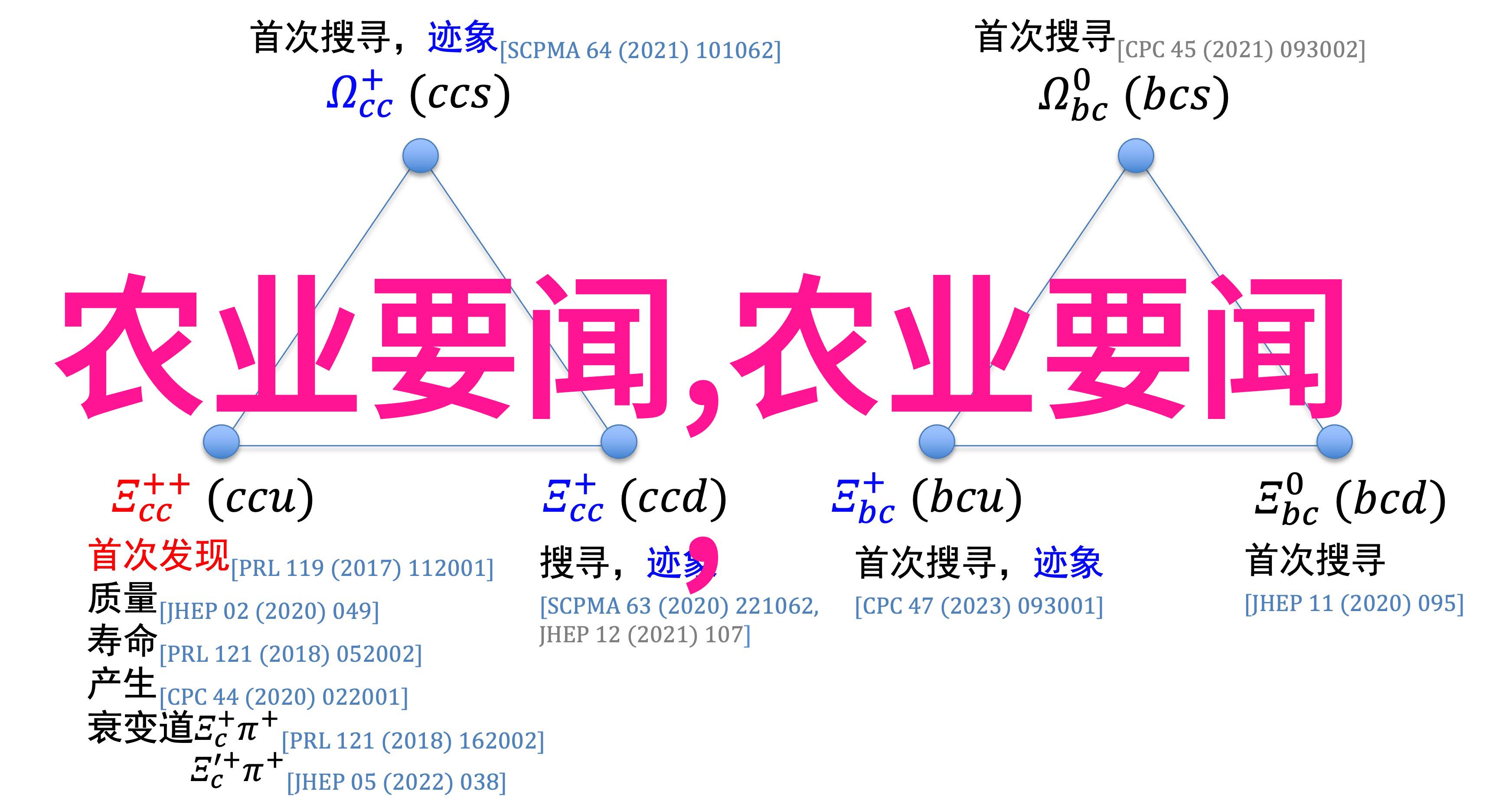 走进每一壶好茶背后它们隐藏了怎样的故事与文化呢
