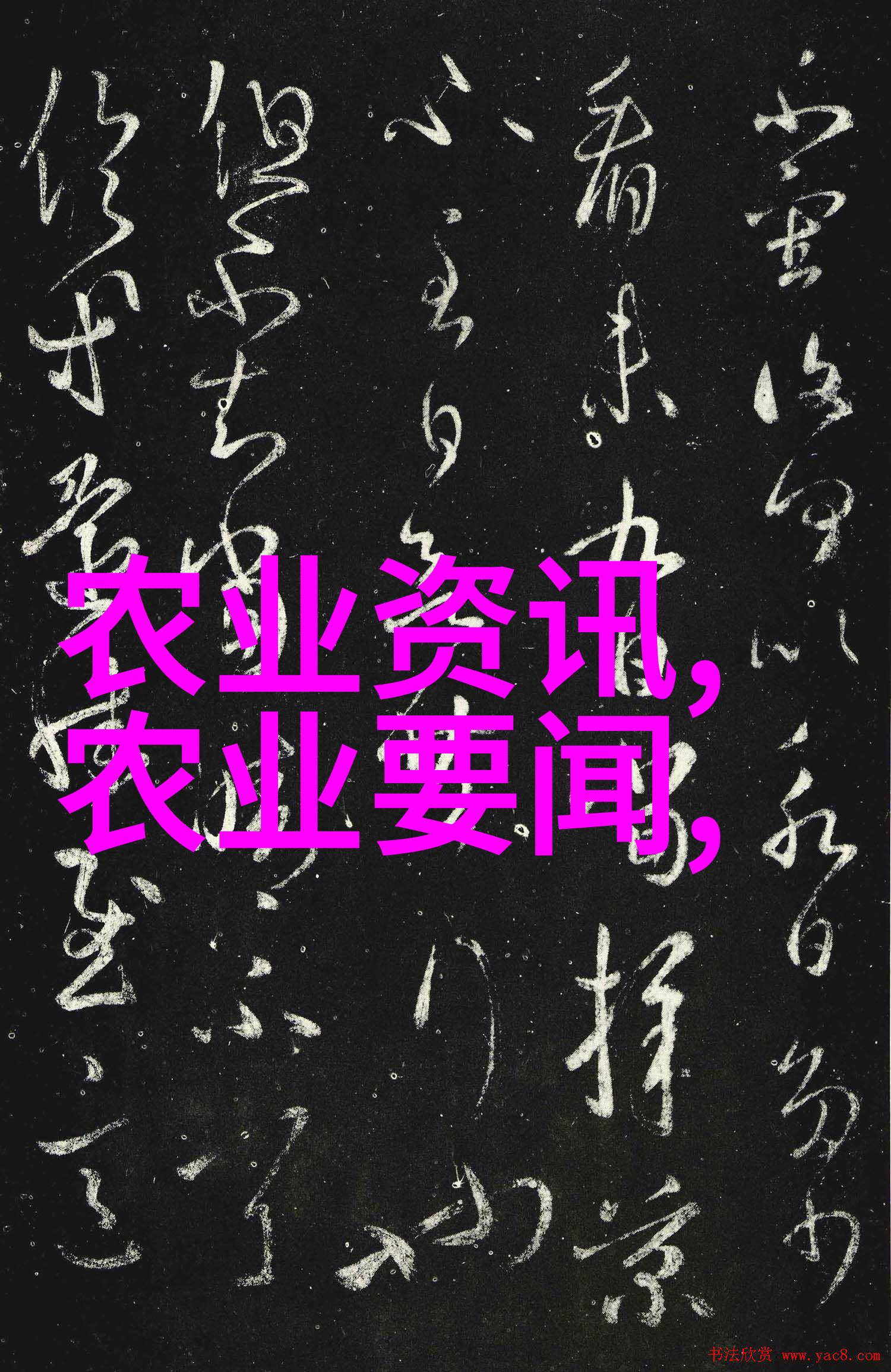 广玉兰美丽亮点直径60公分的广玉兰价格探究