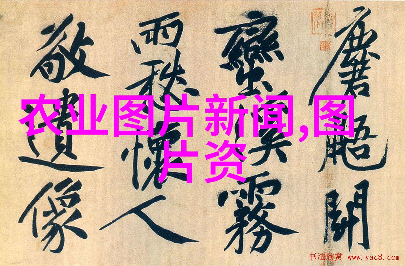 古人智慧下的现代应用如何在小空间中营造非凡视觉效果
