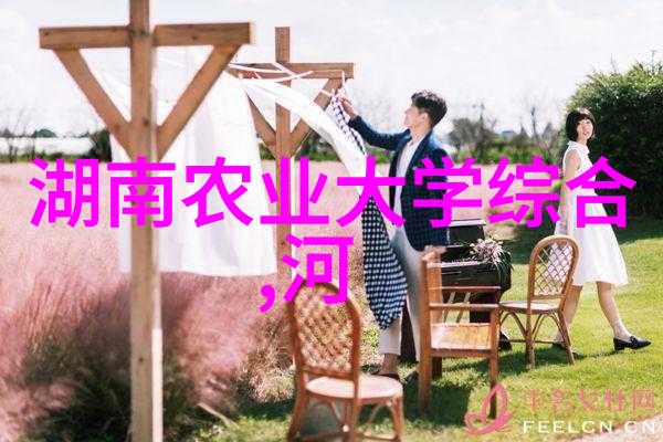 十五公分白蜡-静谧的光影十五公分白蜡的诗意编织
