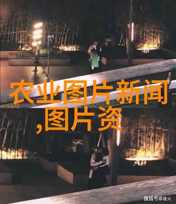 杨梅的采收加工与储藏种植灵芝可靠吗