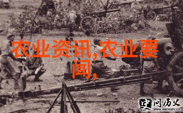 中年求职新篇章重新定义职业生涯的黄金时刻