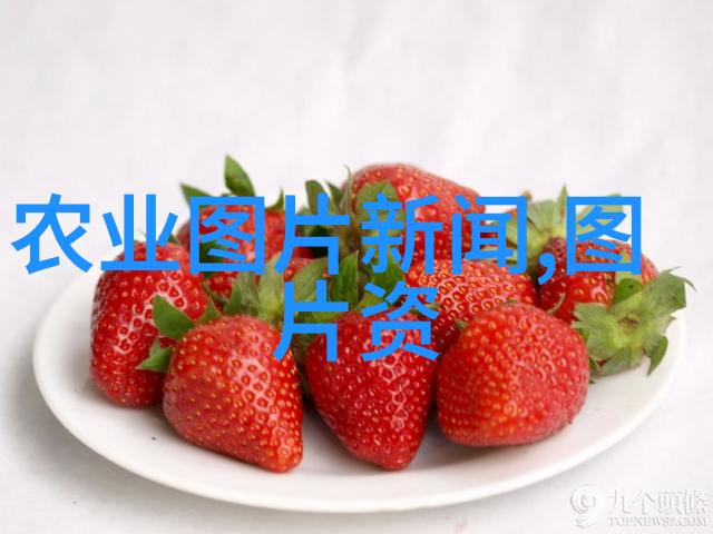 冬季美食-雪菜的诱惑冬日里的一份清淡与温暖