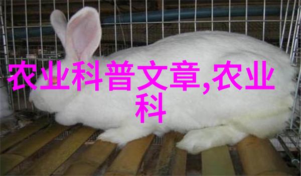 火星探测器发现水迹 人类历史上最大科学突破背后隐秘的资金链