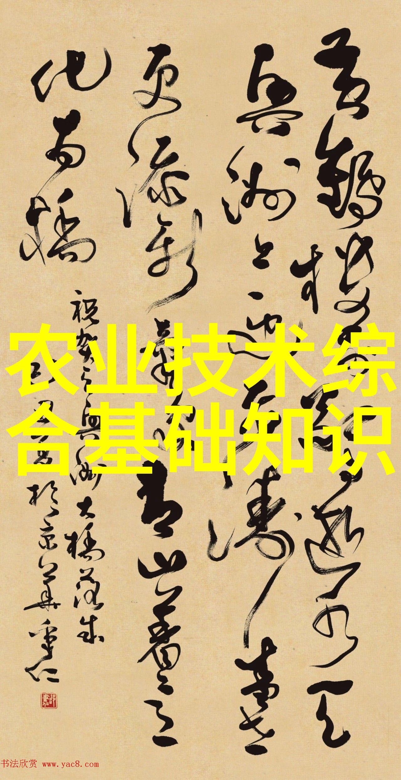 花艺师考起来比中药材贵多了初级花艺师的路途竟然也要付出40万一斤的学费