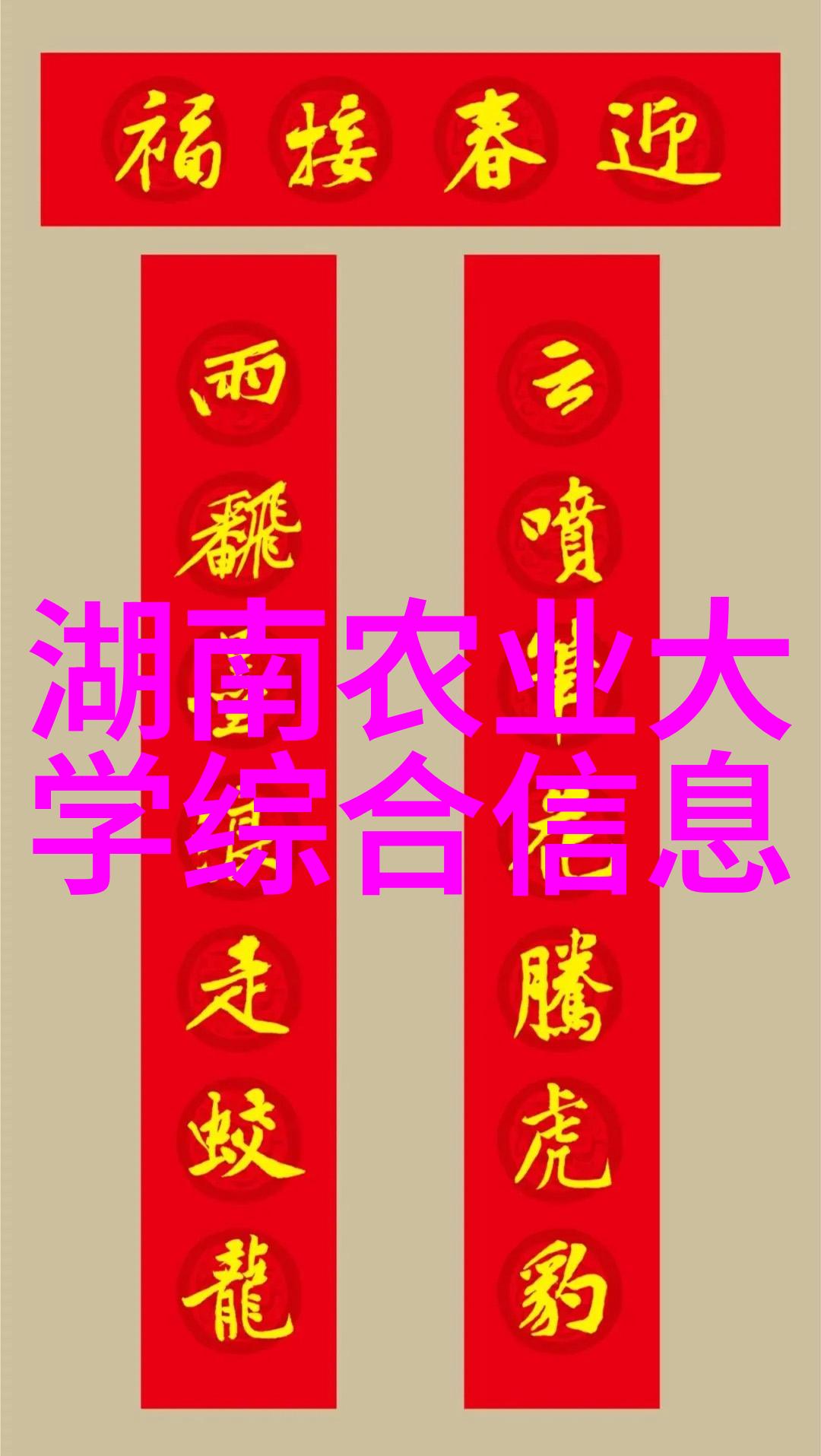 蔬菜新时代绿色革命的智慧种植