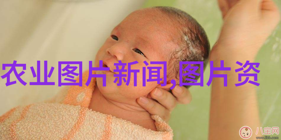 金黄色稻谷的秘密揭秘稻谷烘干机的运作原理与应用场景