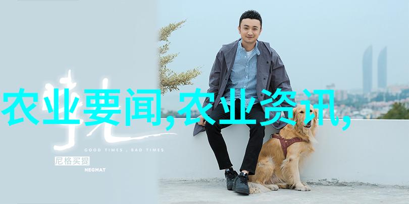 深耕药材板蓝根的种植秘籍