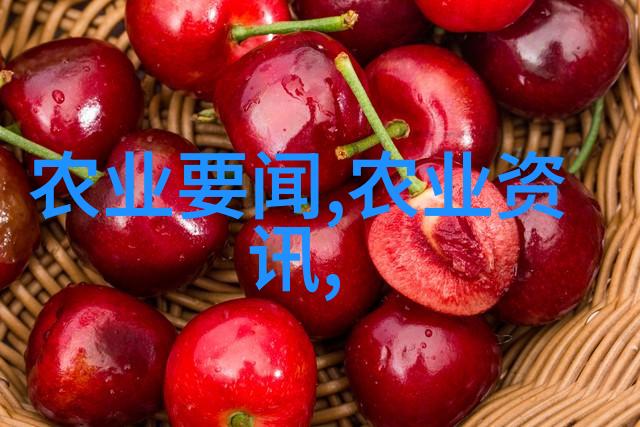 大规模种植所需的大棚成本是如何计算的