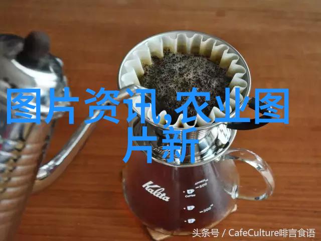 草莓初夏育苗药材种植要趁热