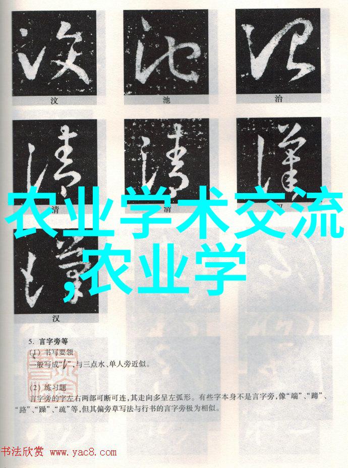 夏季蔬菜种植指南7月8月的最佳选择
