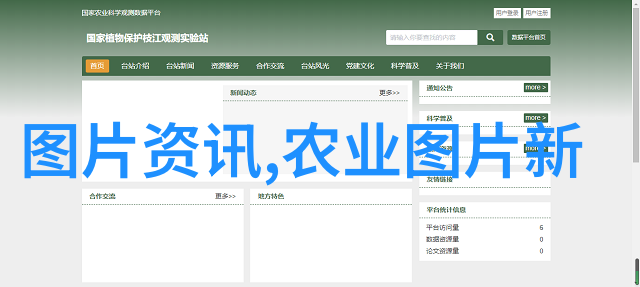 中药材种植指南如何选择并种植高效益的中草药