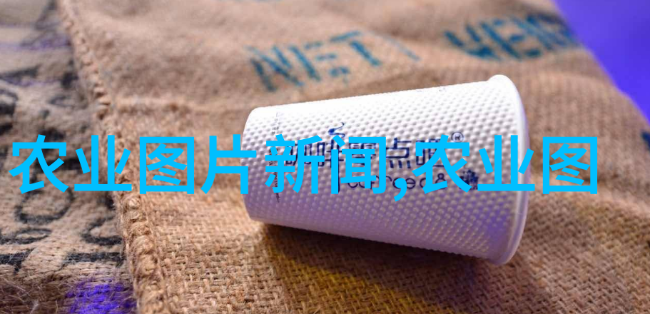 无土栽培技术在有机蔬菜生产中的应用与展望