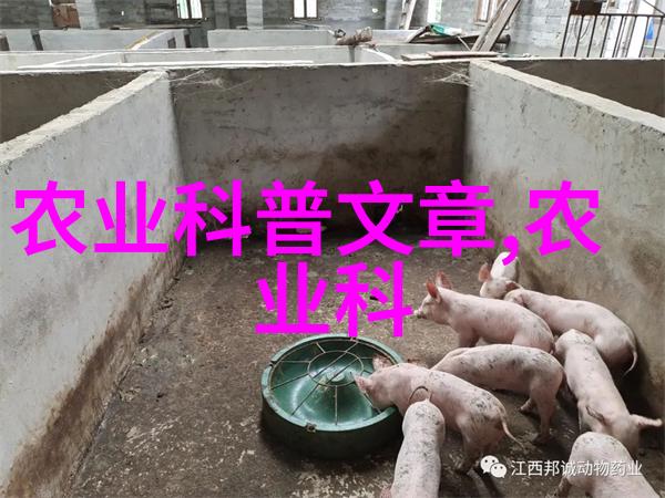 谢祖秀农机饭越吃越香