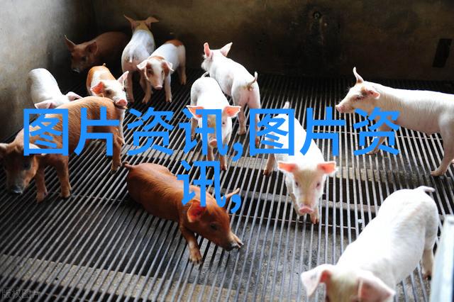 探索古老的耕耘之旅农业起源的秘密